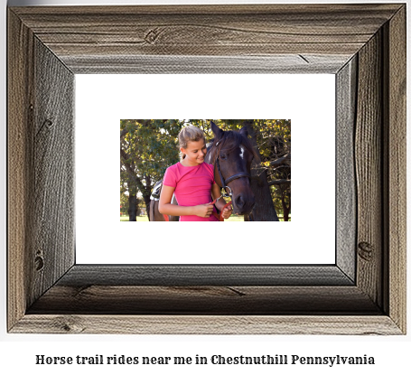 horse trail rides near me in Chestnuthill, Pennsylvania